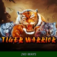 Tiger Warrior на Слотссити